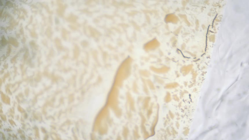 A view of water and foam flowing