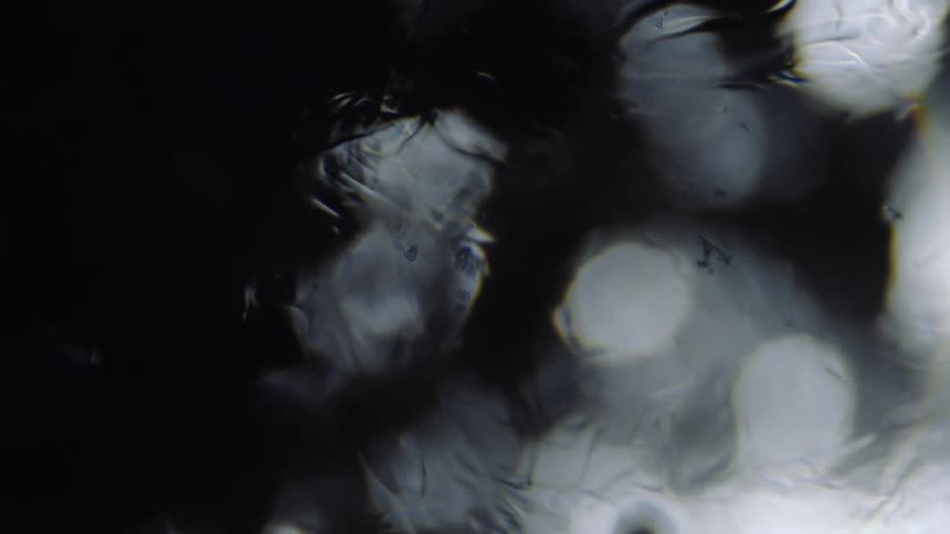 Water moves slowly across the screen atop white circular objects
