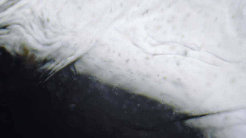 Flowing and rippling liquid