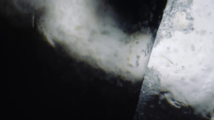 The liquid has debris floating inside