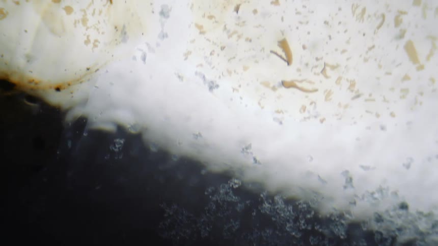 Brown and gray colored bits float on liquid overblack and white background