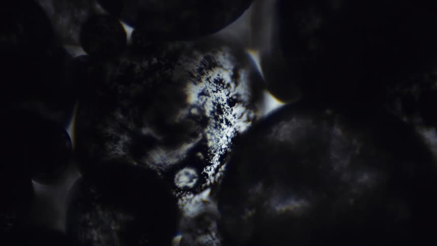 An abstract black and white textured surface