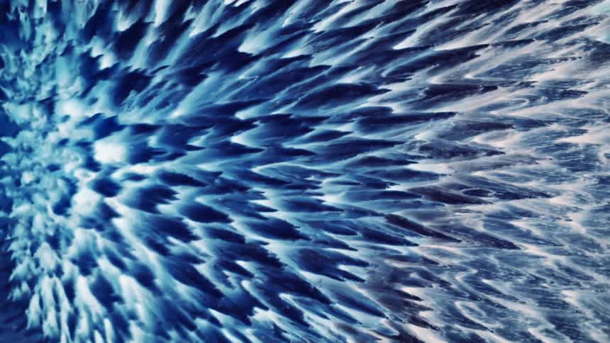 Spiky blue textural scales open and close from left to right
