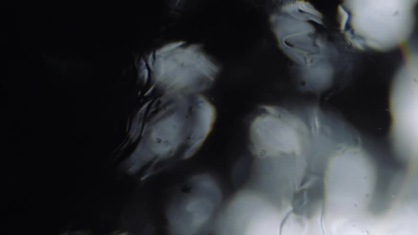 Smear flows over transparent surface blurring the reflected dark and light
