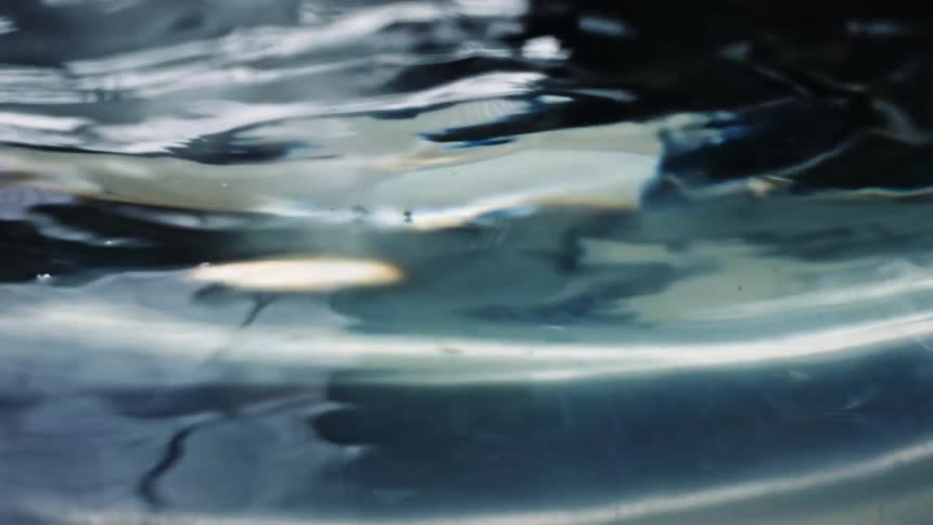 Flowing rippling water