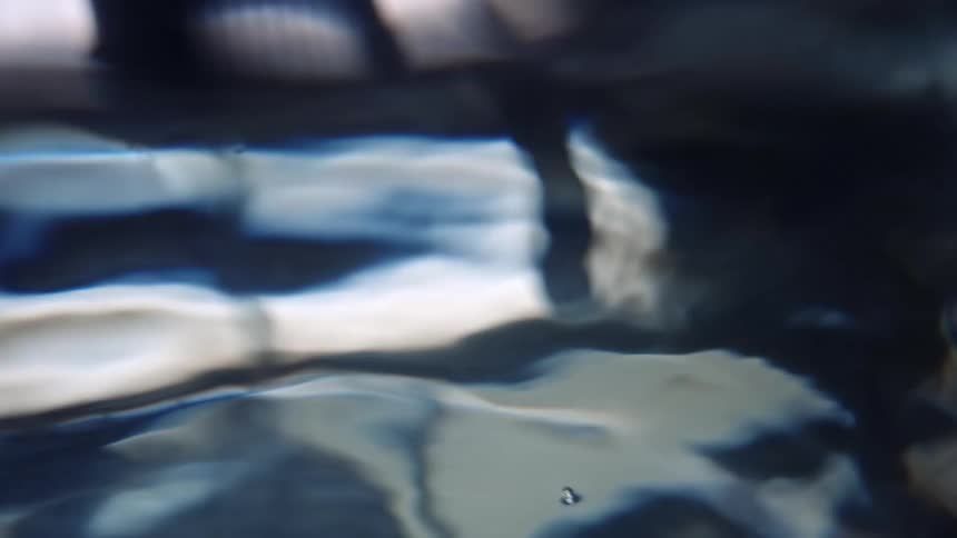 The reflective surface of rippling water