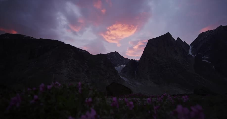 Wind blows through purple flowers under a purple sky beneath towering granite mountain peaks