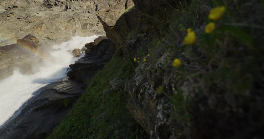 Grass and flowers on a rocky cliff near a whitewater raging waterfall river and a rainbow as the camera push's into the scene