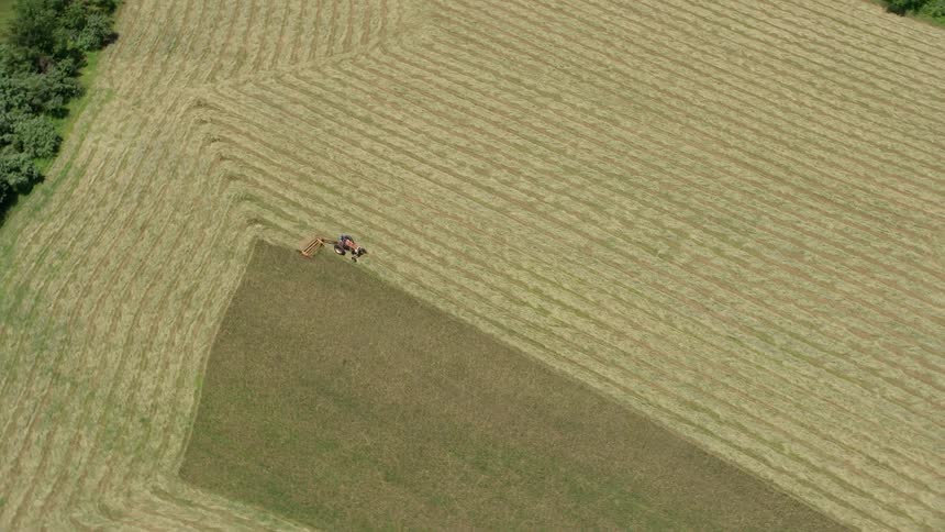 An aerial view of a farm tractor harvesting crops in Princeton NJ leaving behind parallel rows on a sunny day during summer