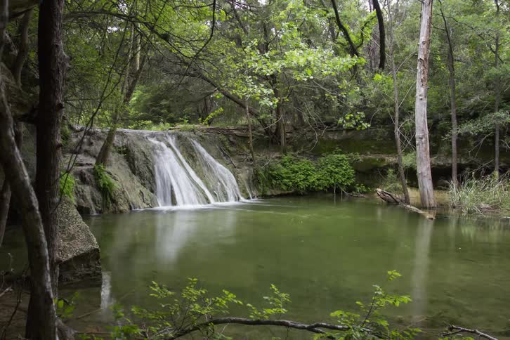 A waterfall leads to a pond in a forest