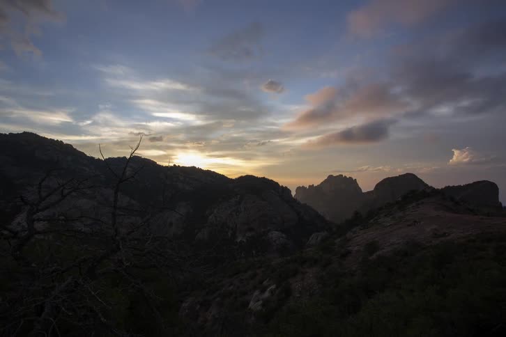 Nature Timelapses
