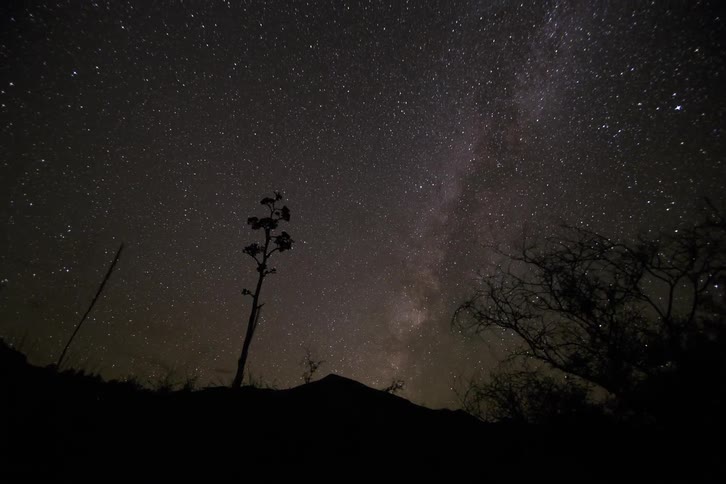 Lights flash in a clearing under a night sky