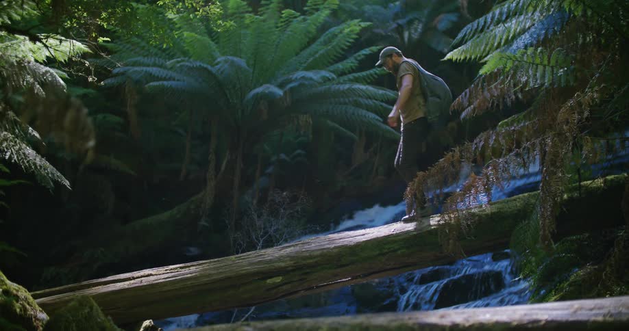 Man with cap beard backpack green t shirt and gray pants walks on tree trunk over river in the forest