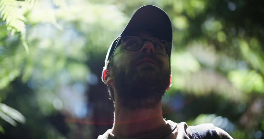 Man with cap glasses and beard looks up in the green forest