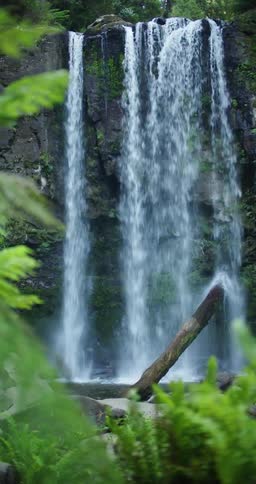 A waterfall is shown flowing over a cliff among some plants and rocks