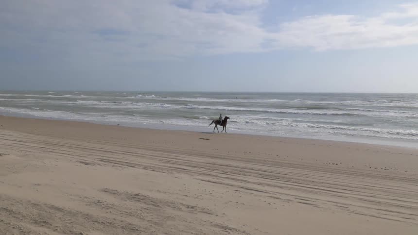 Someone riding a horse along the beach