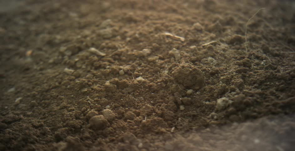 Close up of soil in the field