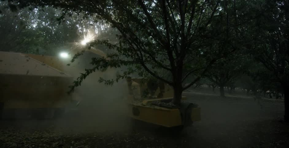 A machine is shaking and gathering the crops off the tree