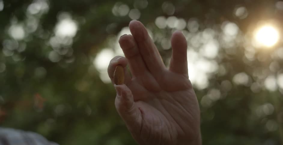 Person holds nugget while standing outdoors near trees on sunny day