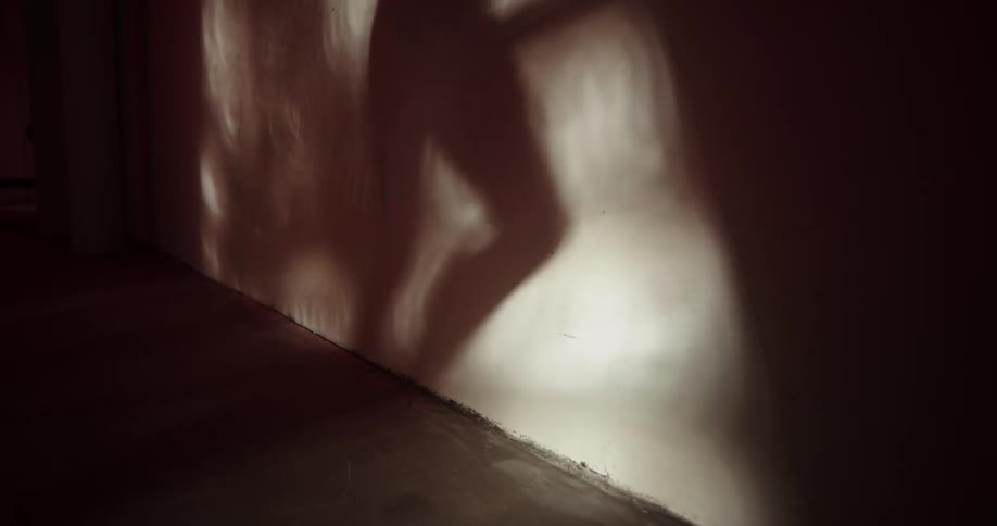 The shadow shows a person running in the gym