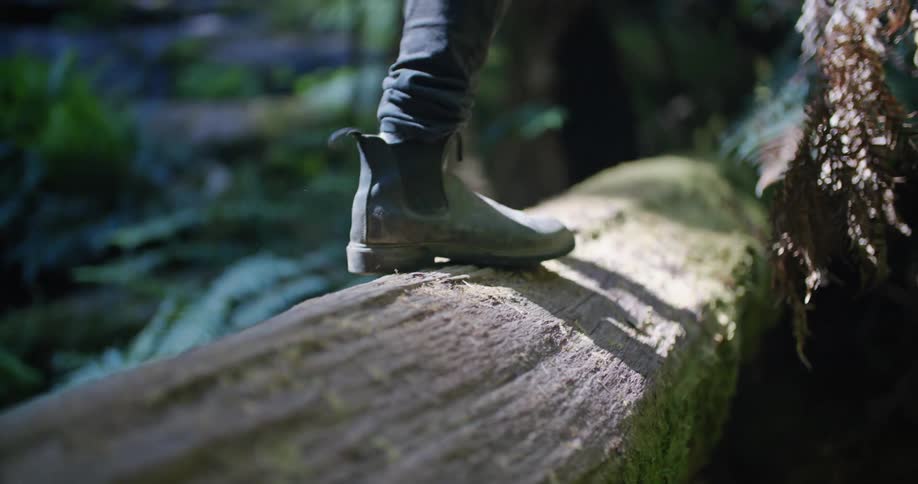 A hiker in boots balancing on a fallen tree in a forest