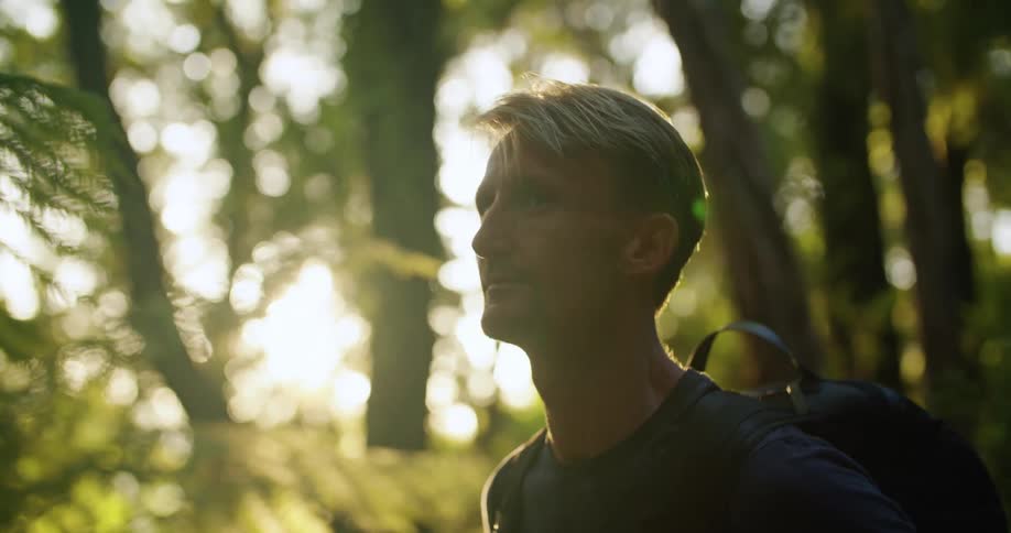 A man with a backpack hiking in a sunny forest