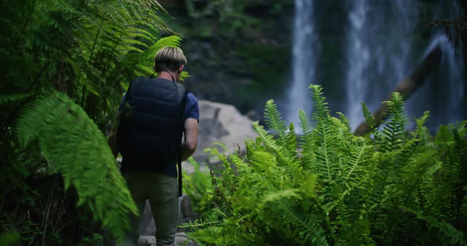 Blonde hiker moves through ferns toward waterfall
