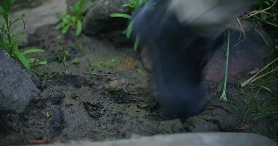 A person hikes in the mud