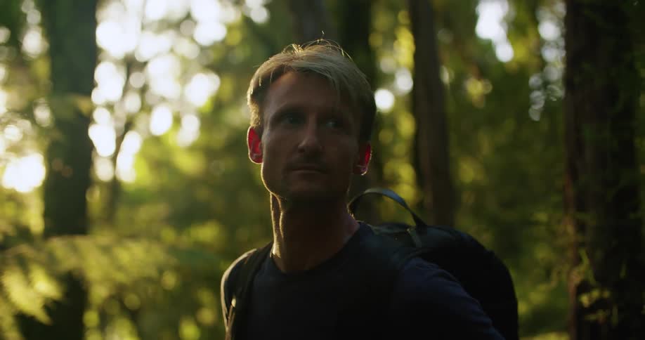 A man is looking around the forest