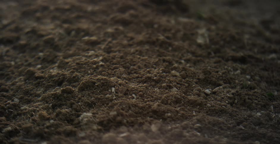 Dirt falls on the ground