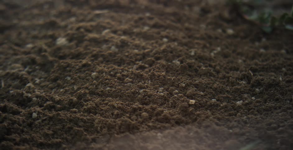 The ground is full of dirt