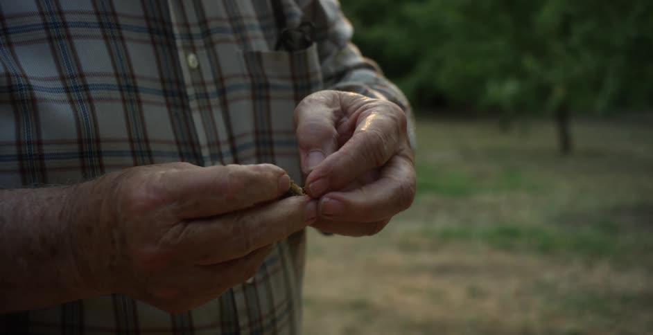 Man with plaid shirt holds almonds in the yard with almond trees