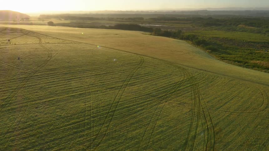 Tire tracks cut across a vast green field under a bright sun