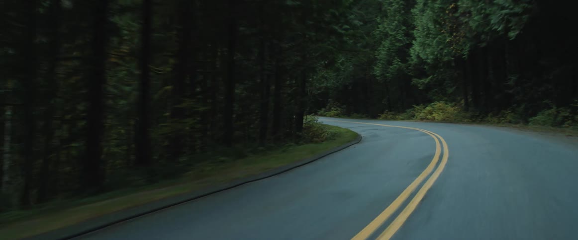 Moving forward on a road through the woods and going around a curve