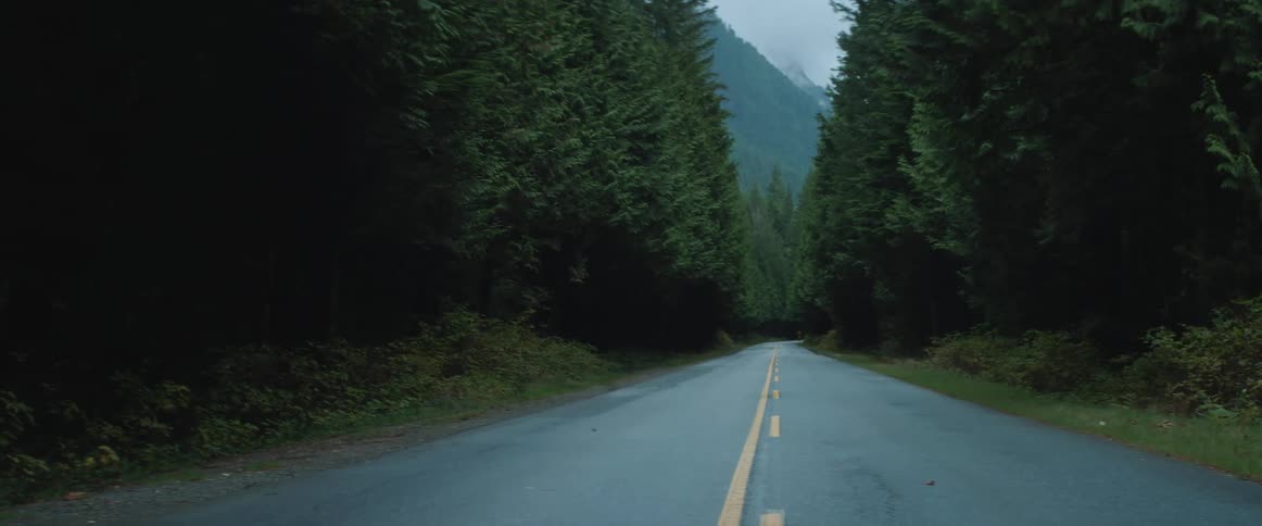 An empty road through a lush pacific northwest forest