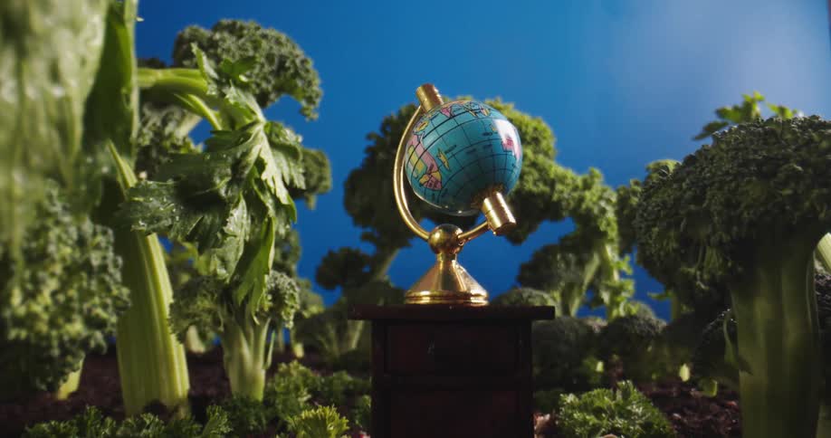 Close up miniature globe among broccoli and plants
