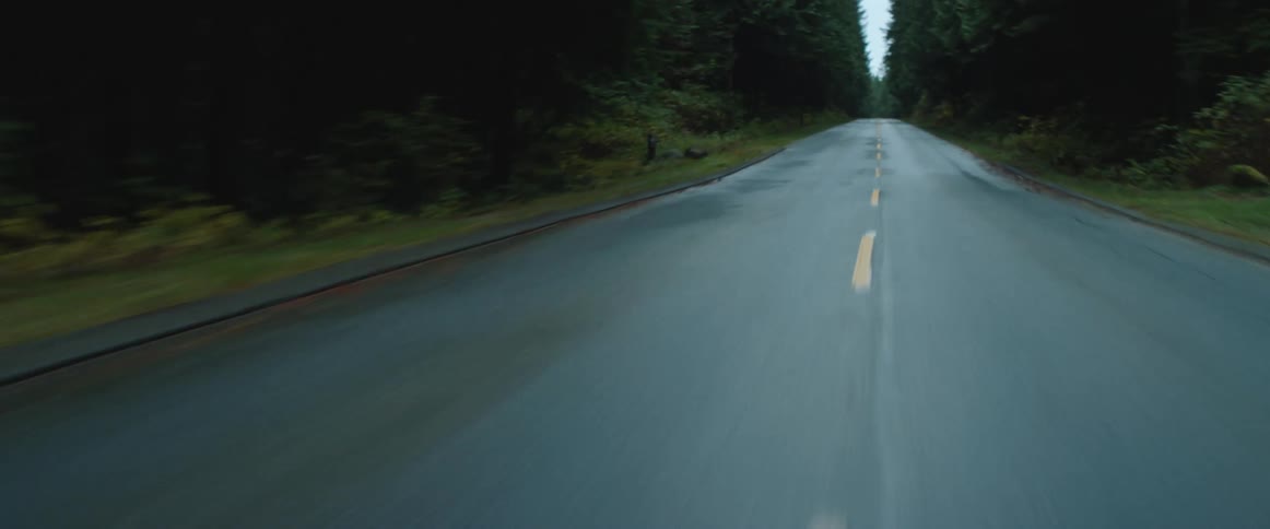 Vehicle drives on highway through forest