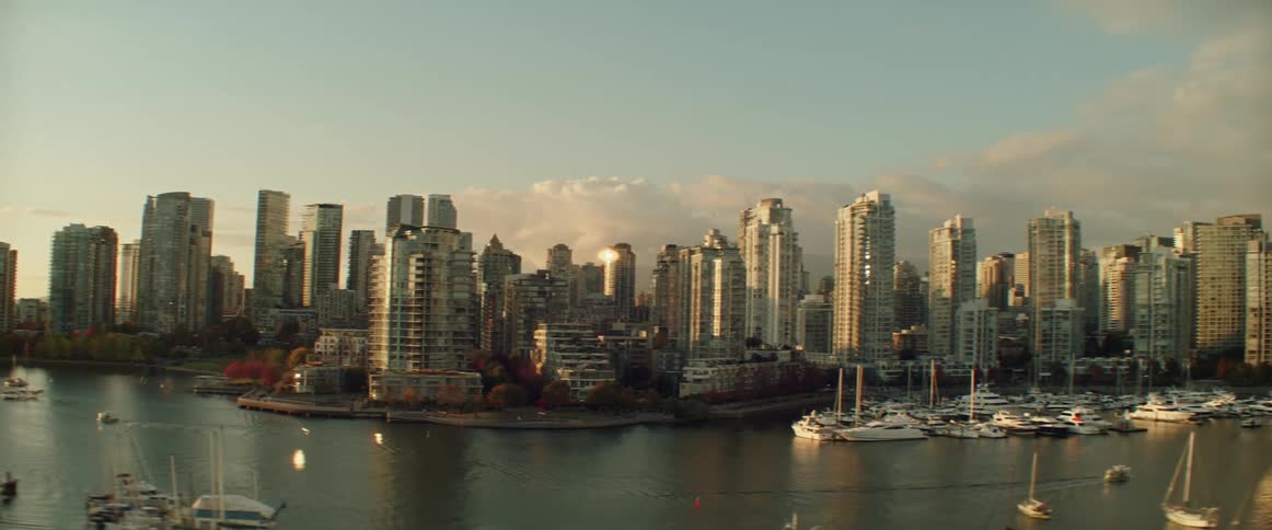 The city skyline surrounded by water and boats