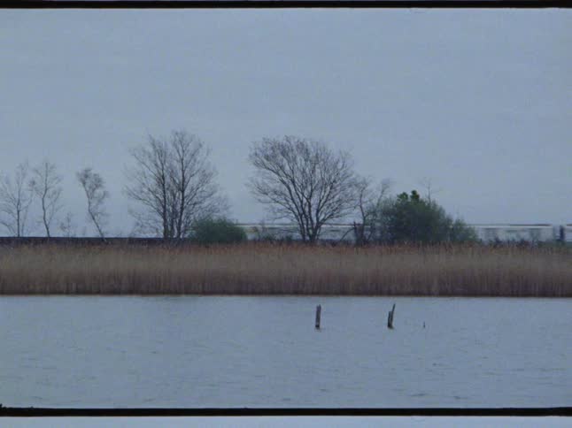 A train pulling boxcars passes by a river near trees and a field of tall grass and weeds
