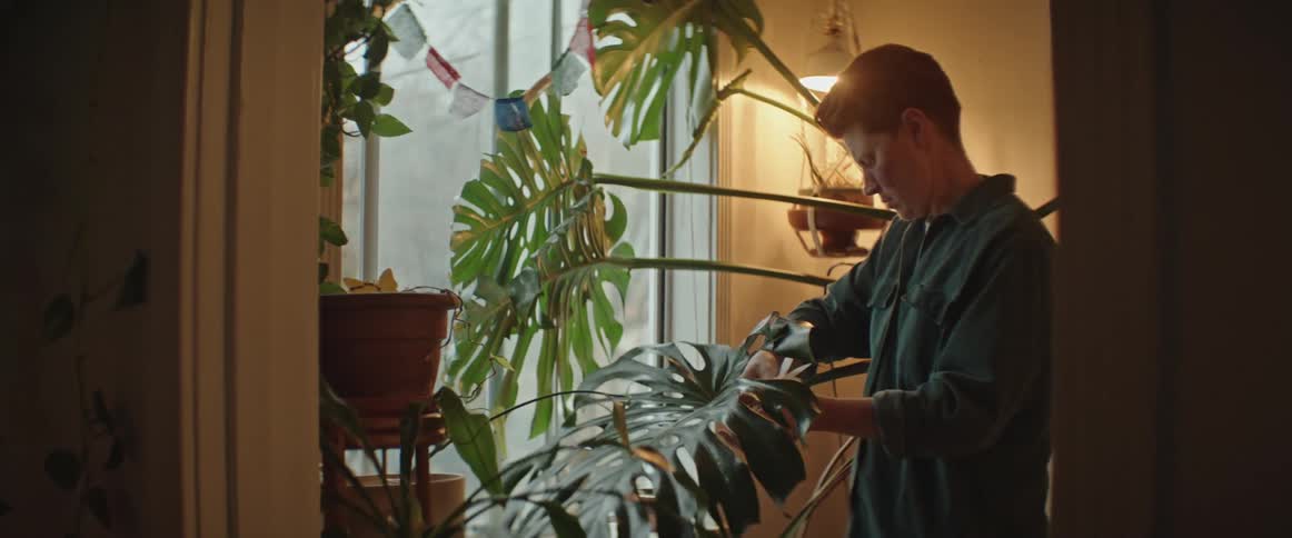 A woman is standing over a plant and wiping the large leaves with a cloth
