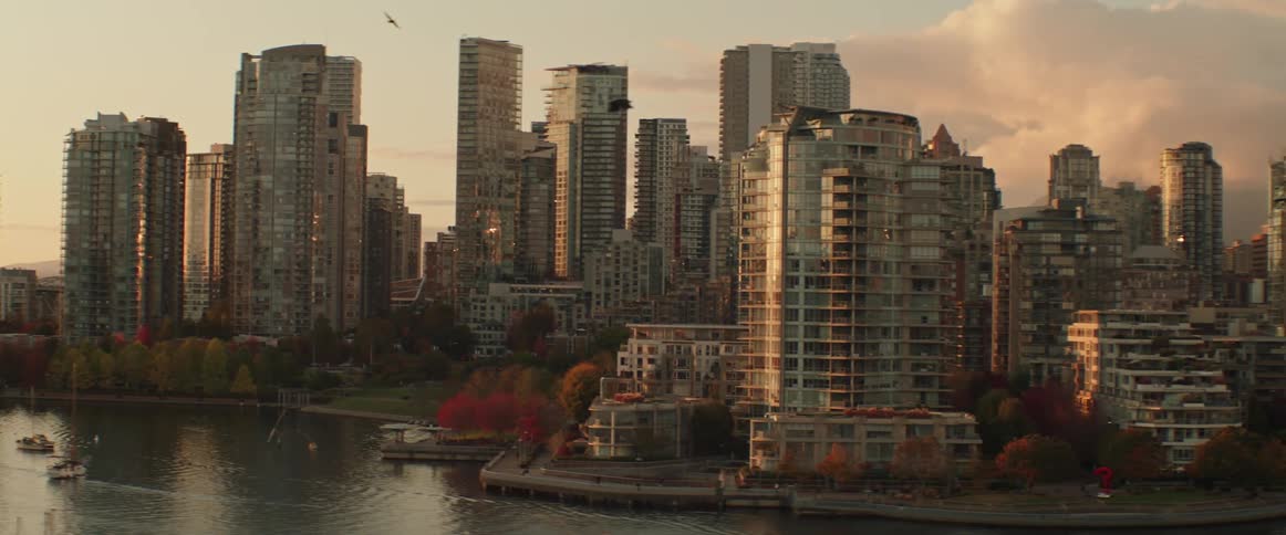 Birds fly over water near downtown during the fall