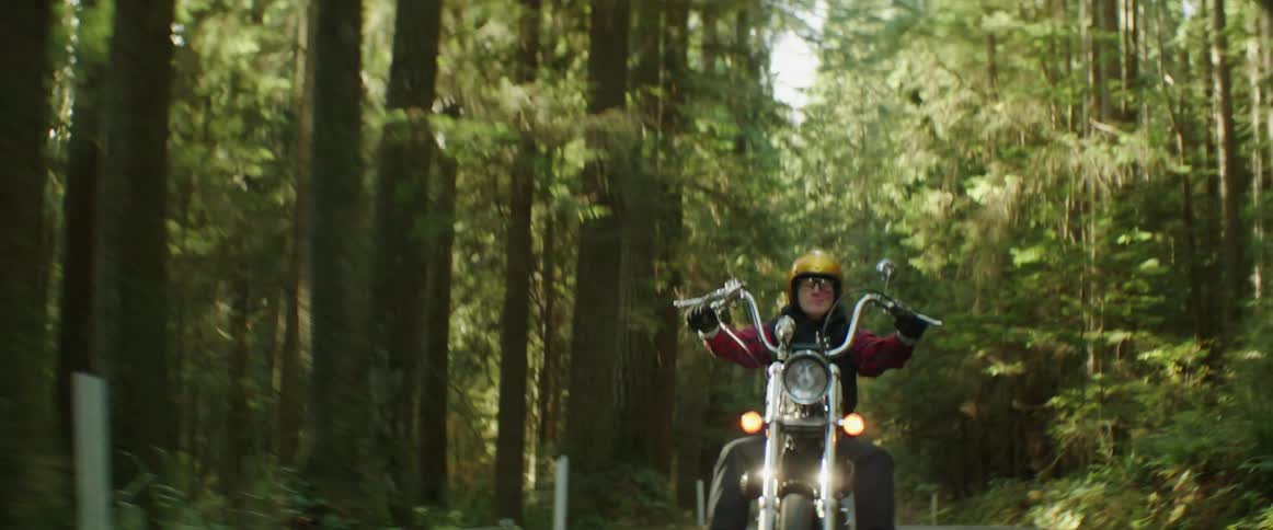 A person riding a motorcycle through large forests