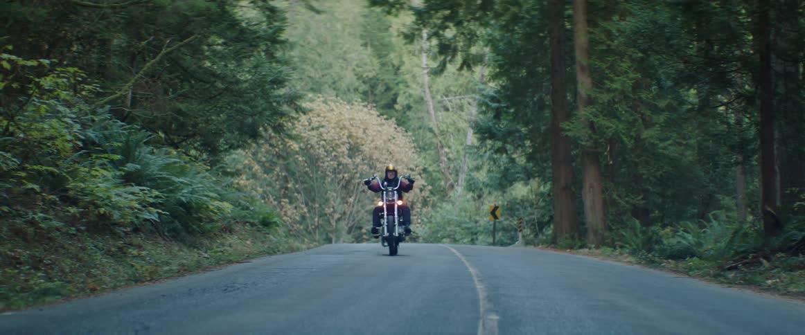 A person riding a motorcycle down the road through tall trees