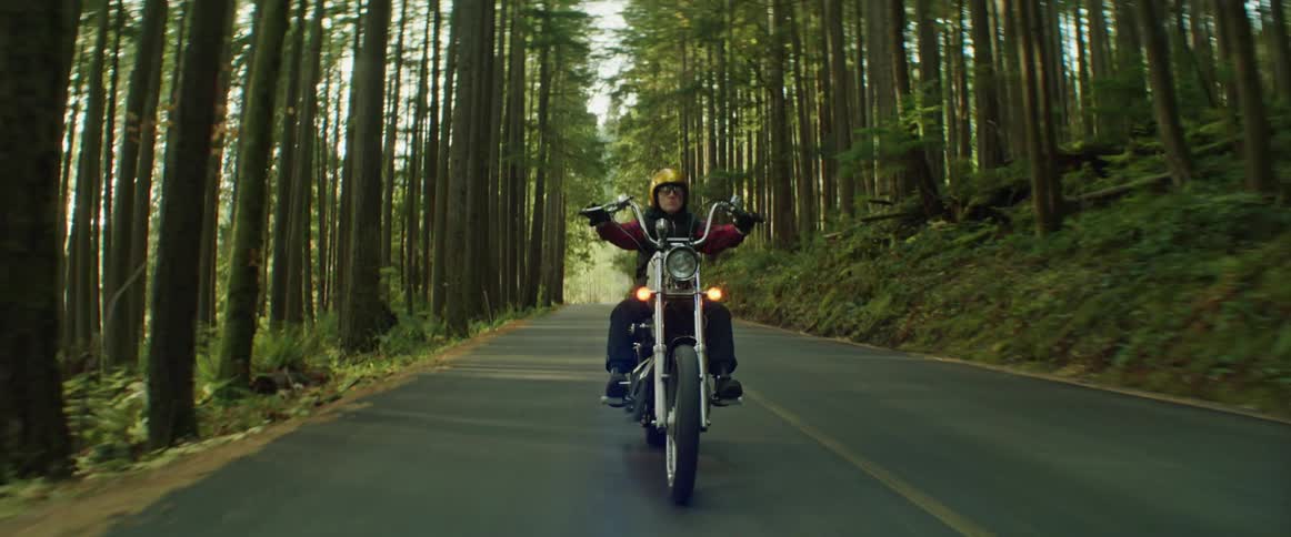 A person is riding their motorcycle on a road through the woods