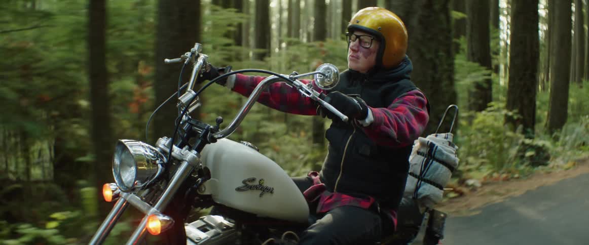 A person is riding their motorcycle past the large forest