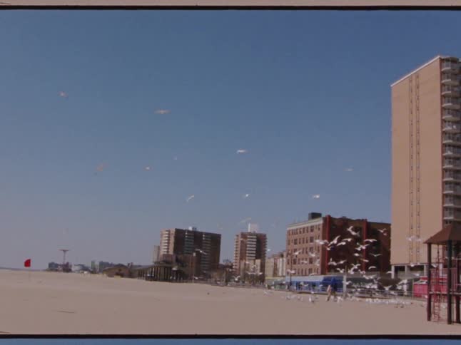A person is walking on the edge of a beach near buildings as seagulls are flying around and walking on the ground near them
