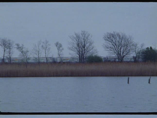 A freight train travels past a lake