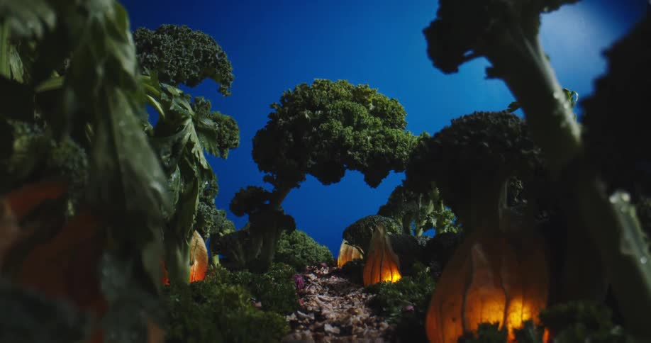 Broccoli and flowers grow in a field
