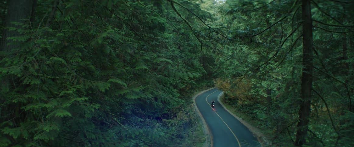 A motorcycle drives on the road going through a dense green forest