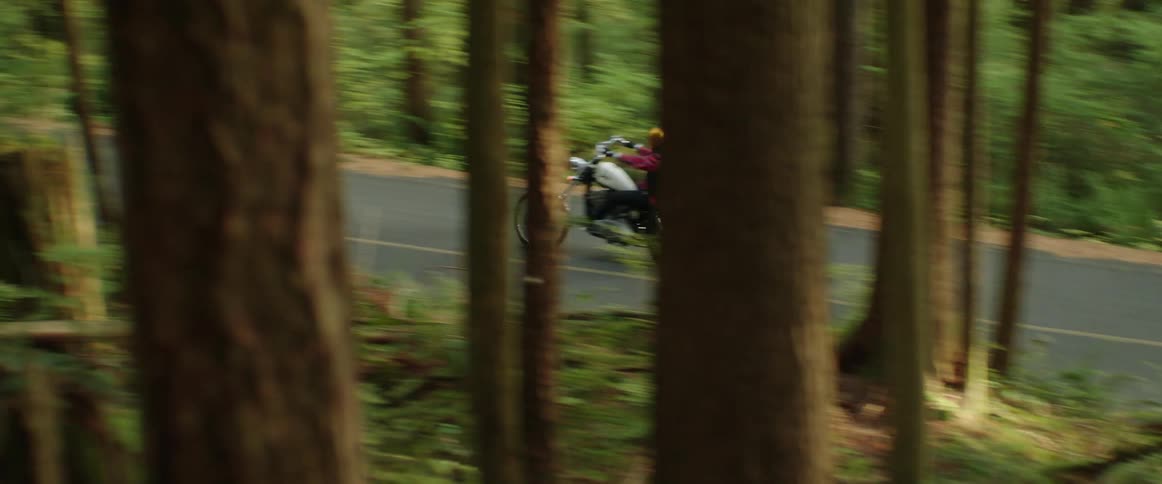 A person driving a motorcycle down a road through tall trees